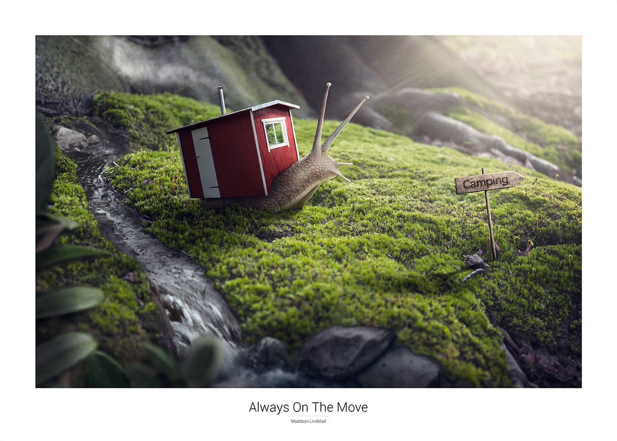 Always On The Move – poster 70 × 50 cm