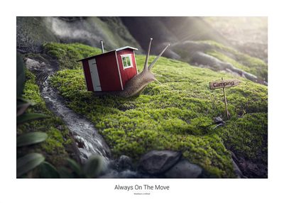Always On The Move – poster 70 × 50 cm