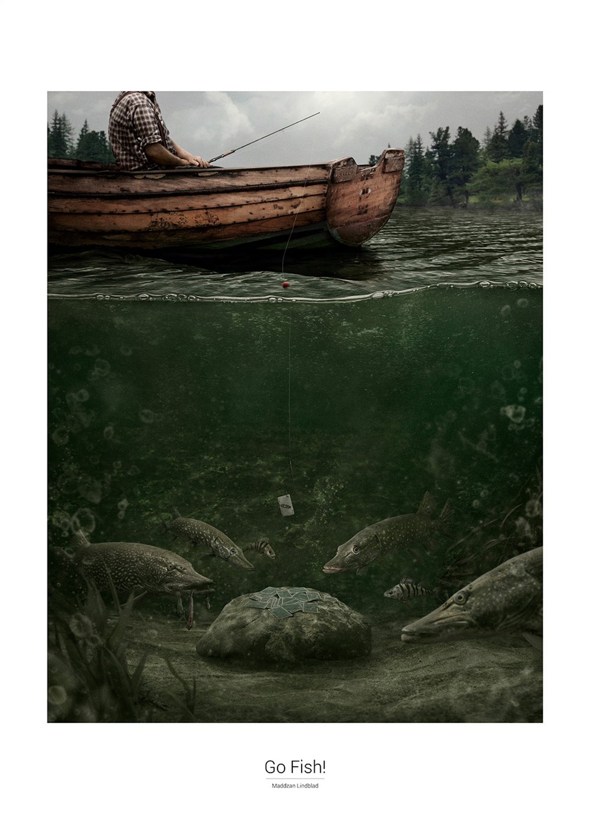 Go Fish! – poster 50 × 70 cm