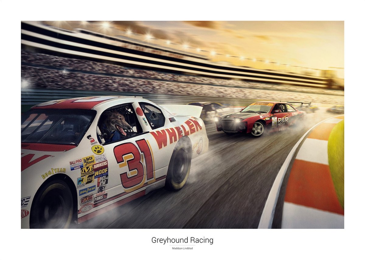 Greyhound Racing – poster 70 × 50 cm