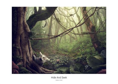 Hide And Seek – poster 70 × 50 cm