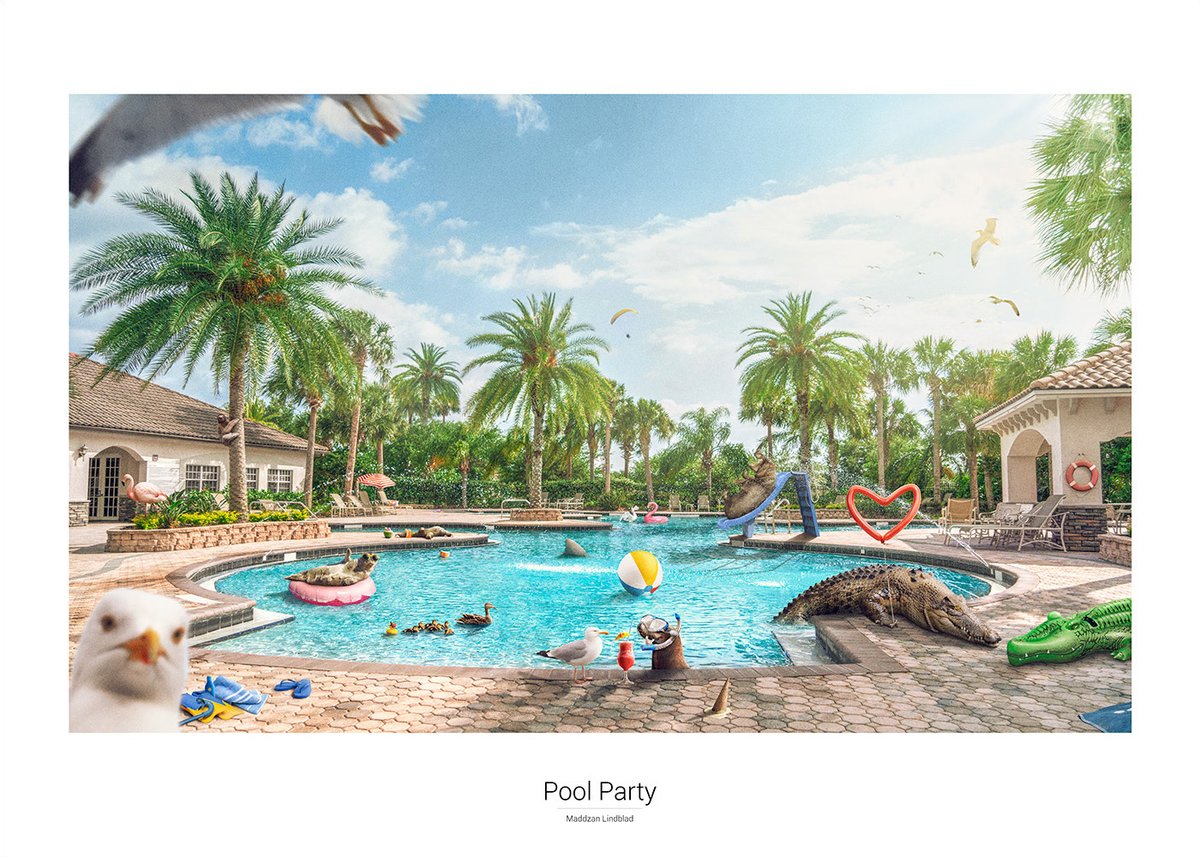 Pool Party – poster 70 × 50 cm